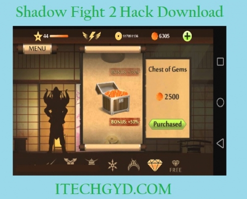 shadow fight 2 hack